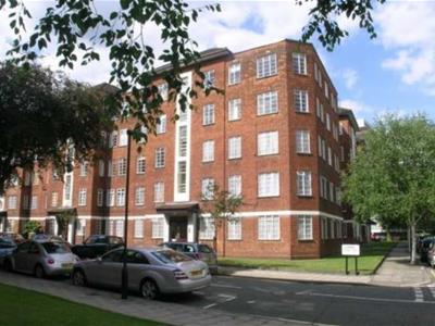 Picture 8
